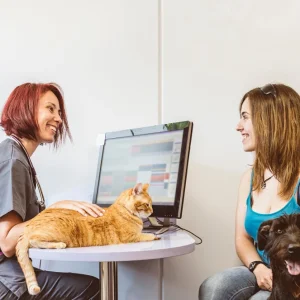 Curso de Comunicación Profesional Práctica en Centros Sanitarios Veterinarios