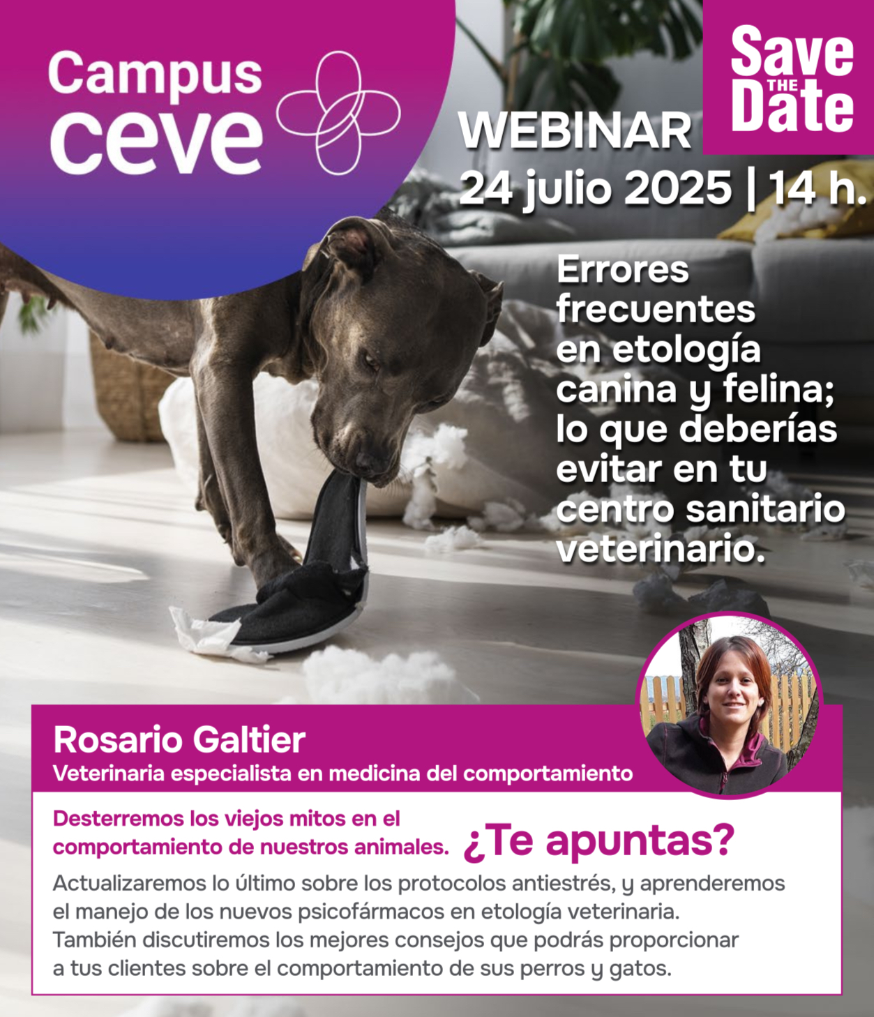 Grabación del webinar: Errores frecuentes en etología canina y felina; lo que deberías evitar en tu centro sanitario veterinario